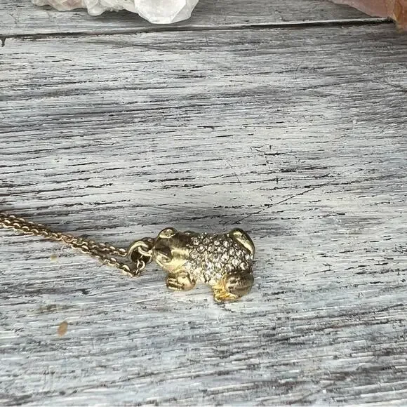 J. Crew | Rhinstone Frog Necklace - Picture 7 of 10